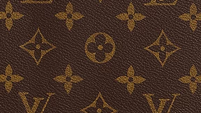 LV Monogram 材質